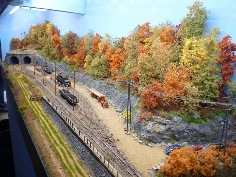 Model rail 2014 - Des photos P1170113