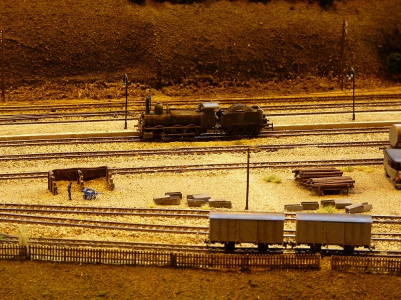 Model rail 2014 - Des photos P1170115