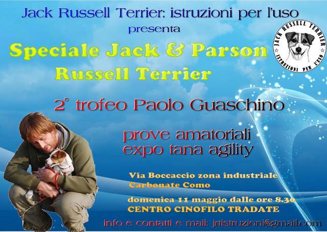 russell - Speciale Jack e Parson Russell Terrier 10014610
