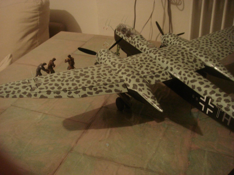 Heinkel 219 UHU NJG2 Dsc07311