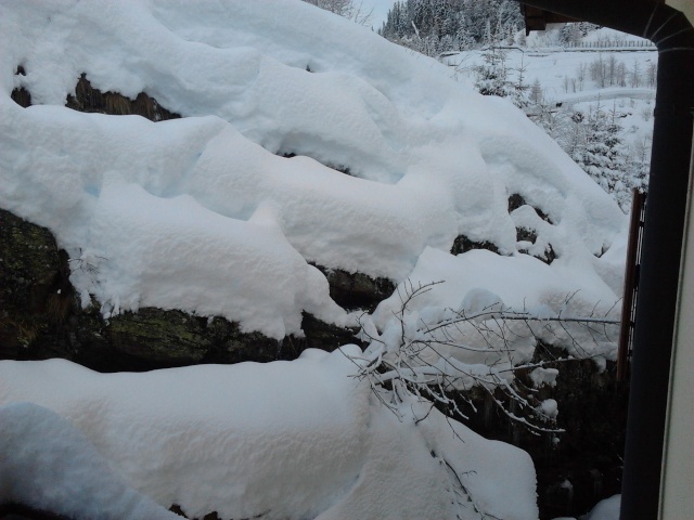 Passione per la fotografia: le nostre foto. - Pagina 18 Neve_610