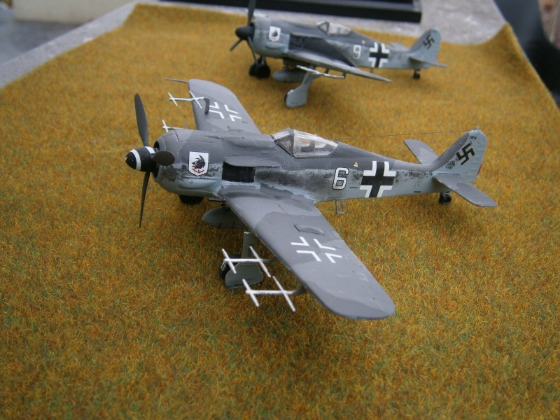 [Revell] FW 190 A Chasseur de nuit Pb010019