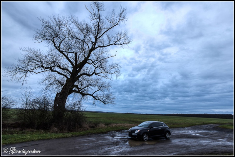  Concours photo n°27 Janvier 2014: "Votre Alfa et la Nature" Img_8010