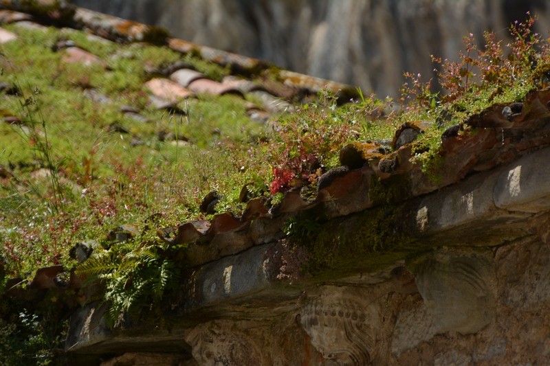 Les photos exposées sur les bords de la Reyssouze Dsc_0011