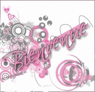 Presentation . Bienve11