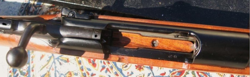 Carabine 22lr Steyr 1898.  Steyr710