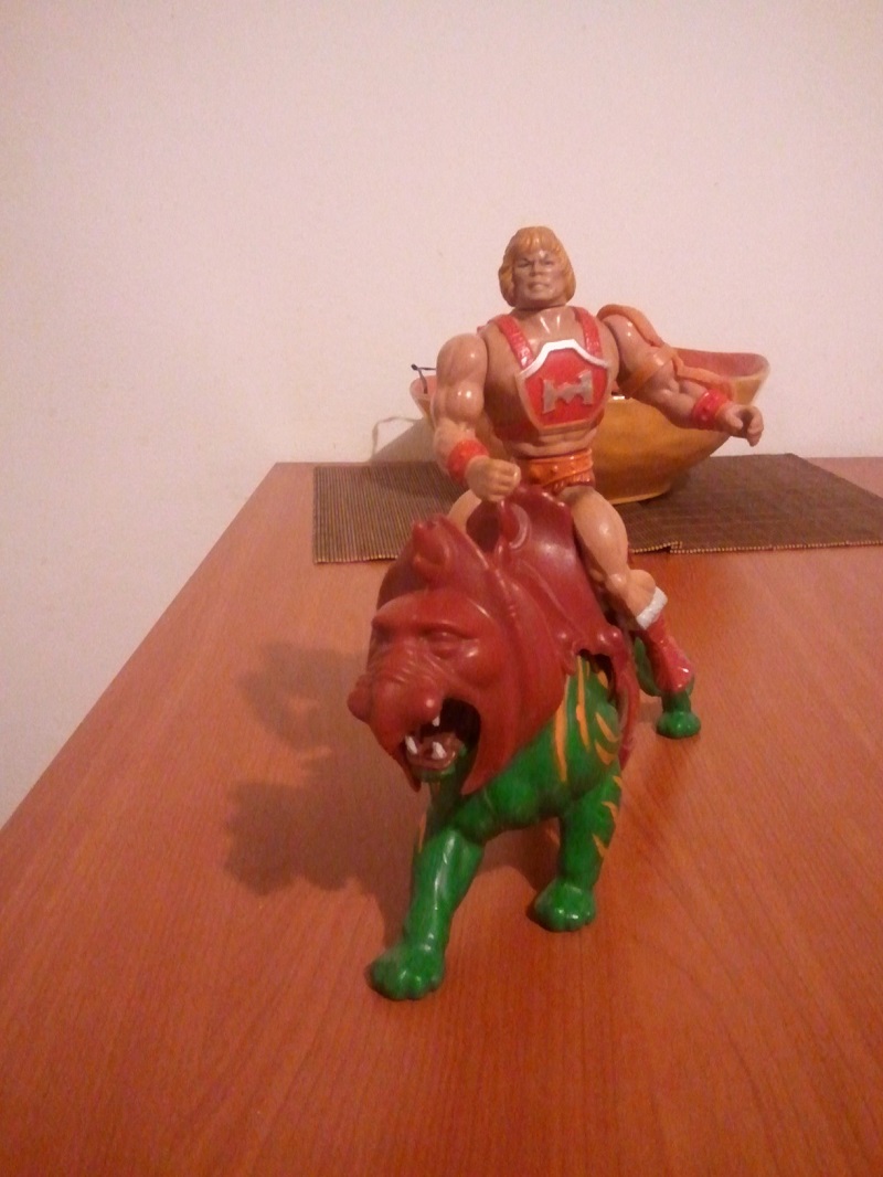 HE-MAN Thunder Punch + Battlecat completa Wp_00429