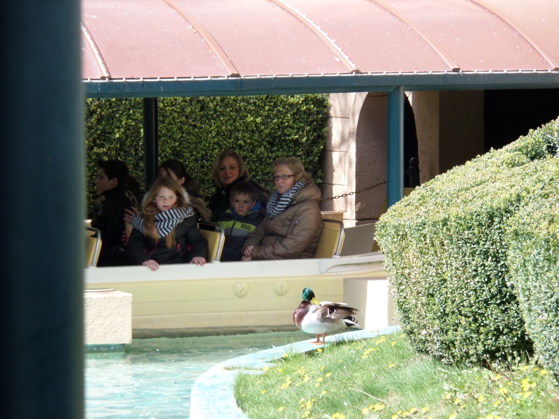fabuleux séjour du 23 au 25 mars 2014 à Disneyland Paris Disney28