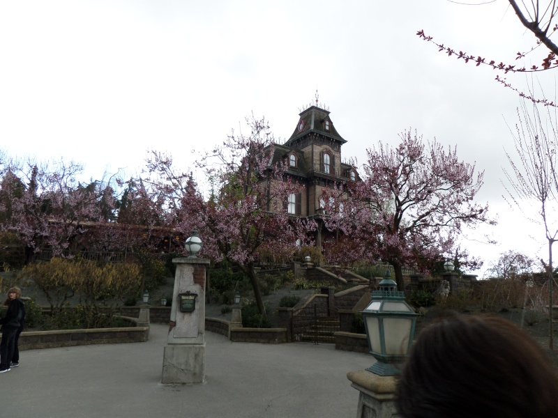 fabuleux séjour du 23 au 25 mars 2014 à Disneyland Paris Disney42