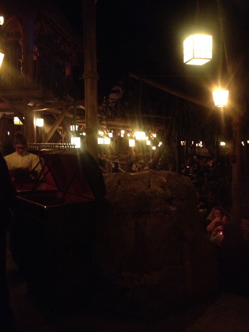 fabuleux séjour du 23 au 25 mars 2014 à Disneyland Paris Img_1241