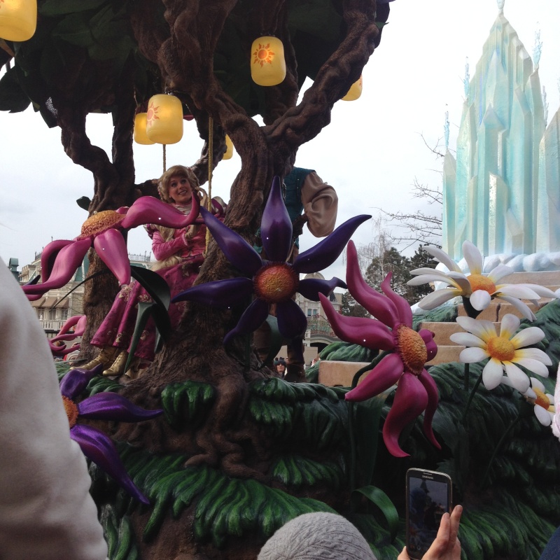 fabuleux séjour du 23 au 25 mars 2014 à Disneyland Paris  - Page 4 Img_1572
