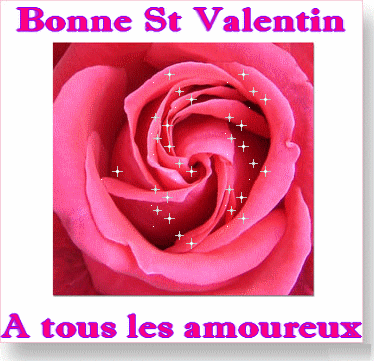 CAGNES sur MER R4 -(Nocturne)  VENDREDI 14/02/2014 Valent10