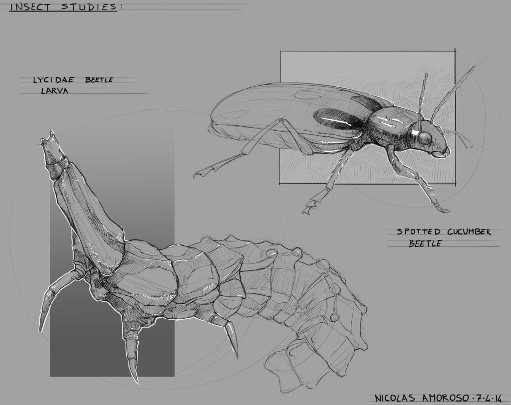 Les croquis de Niconoko - Page 2 Insect10