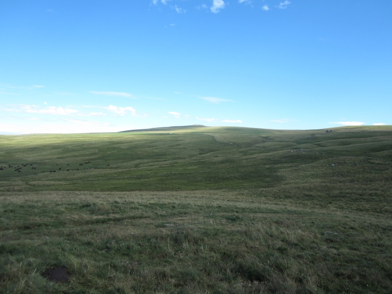 Plateau du Limon : chemin des Quiroux Fabie192