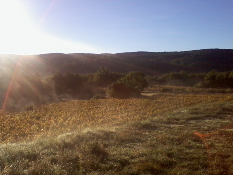 Territoire gardois Becass15