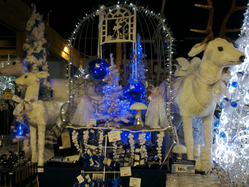 collection de Noel aux pépinières de bavent (France) 02112011