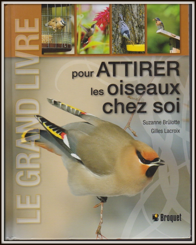 Aide pour attirer les oiseaux Livre_16
