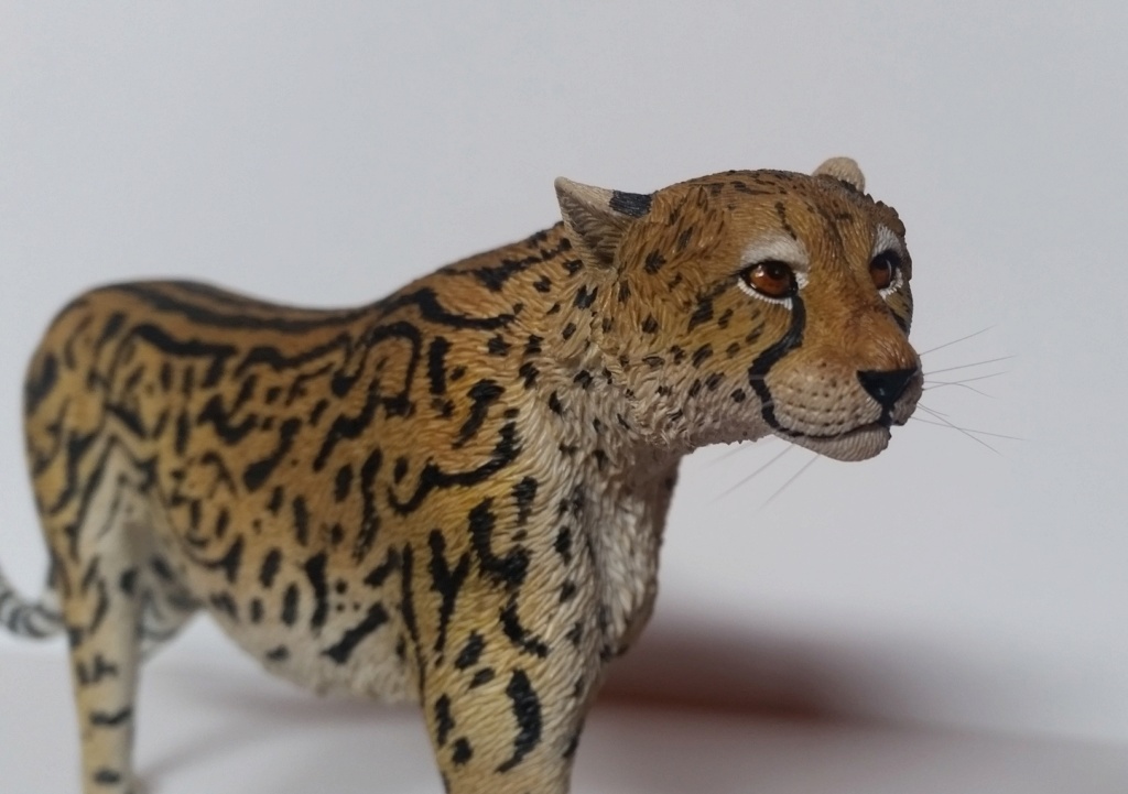 NEW PRODUCT: JXK Studio: 1/6 Acinonyx Jubatus/King Cheetah (JXK115/116) 20220713