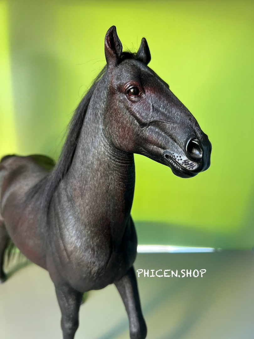 accessory - NEW PRODUCT: Mr. Z: Hailar Horse (7 color options) A8s3hc10