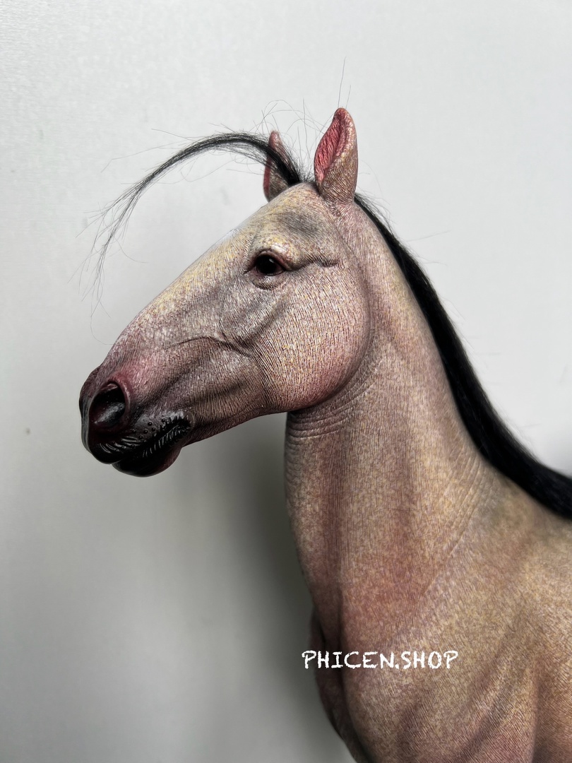 accessory - NEW PRODUCT: Mr. Z: Hailar Horse (7 color options) Puihsm10