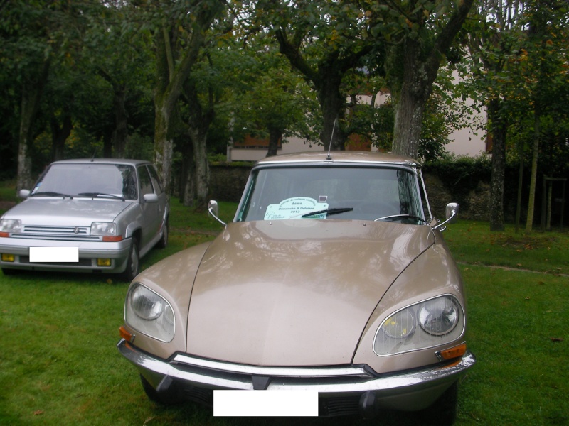 [DOURDAN] 6ème Festival de voitures anciennes Sany0028