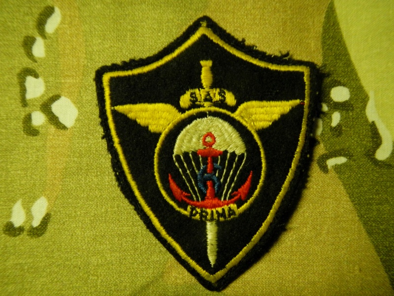 French insignia Dscn0318