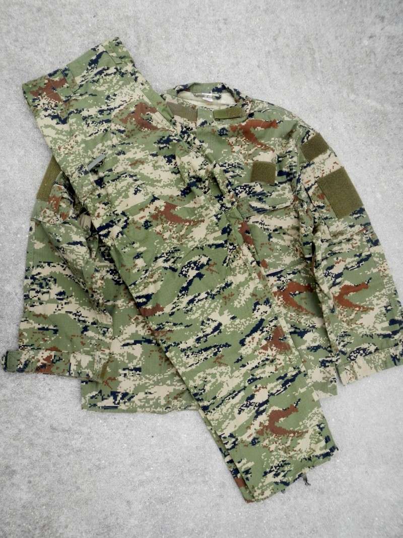 Croatian Temperate field jacket, and Desert set Dscn0548