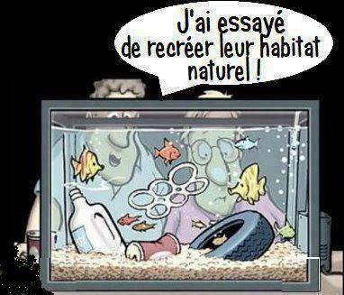 le nouveau biotope Milieu10