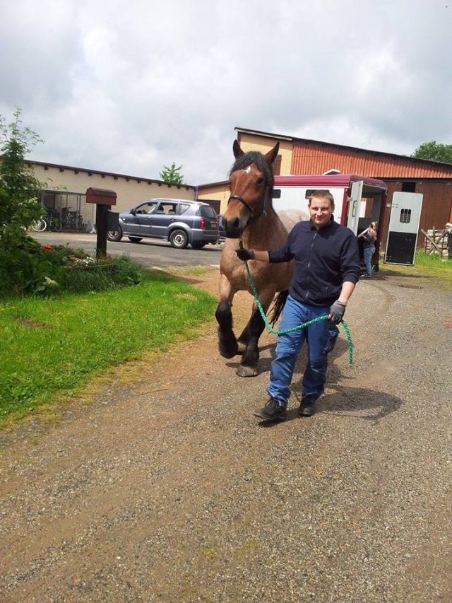 Dépt 63, ABBY Ardennaise 4 ans Sauvée par Alexandra (Mai 2014) - Page 3 10373910