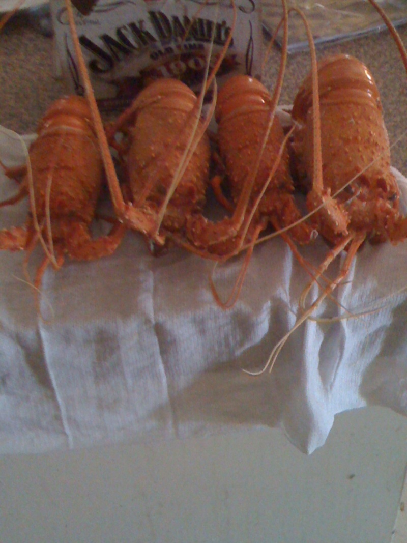 so how do you cook your crays? Img_0111