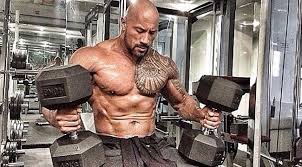 The Rock WWE Body Measurements and bra Size 2014 Talach56