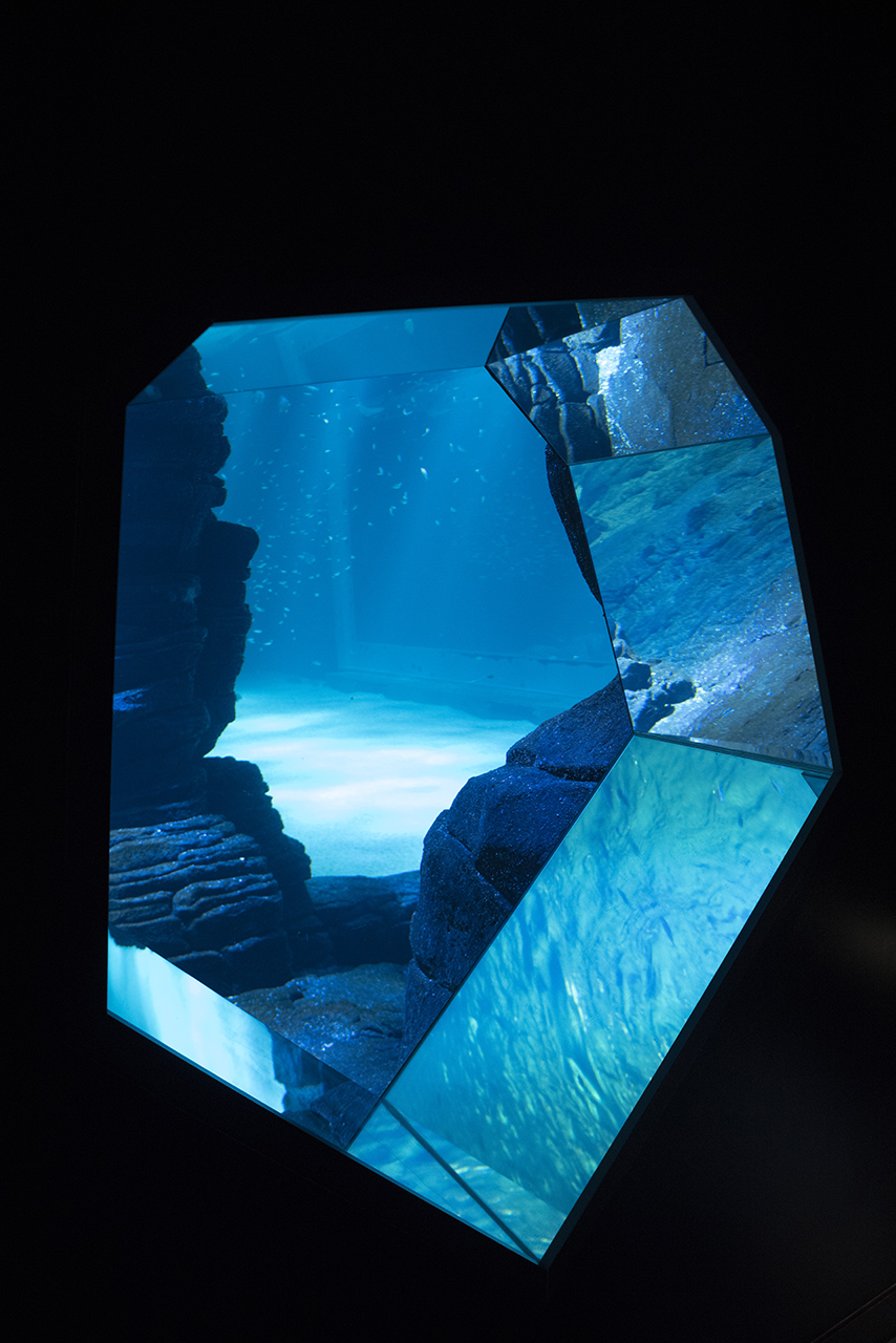 Nausicaa aquarium de Boulogne sur Mer Imgp0915