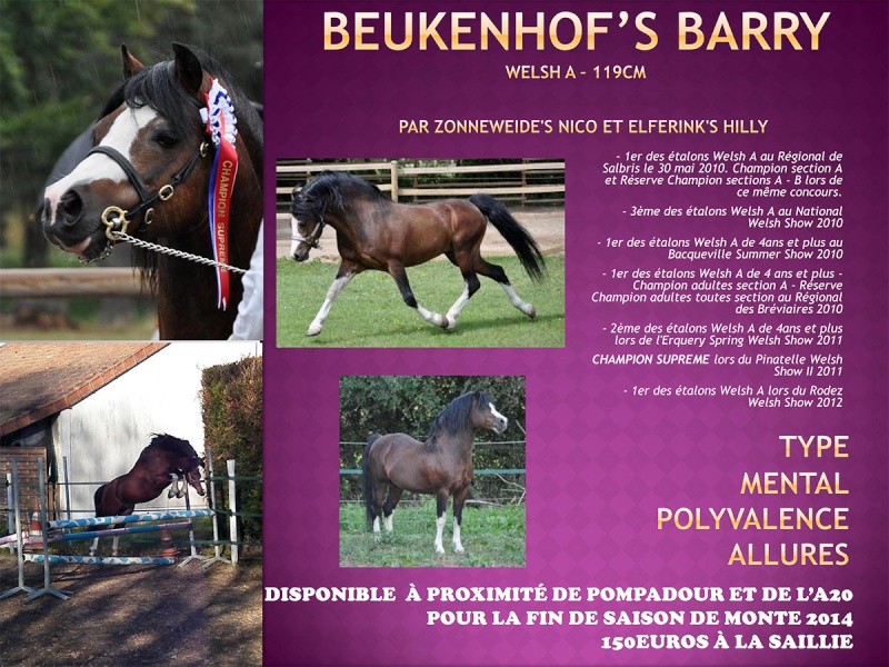 Beukenhof's Barry en corrèze en 2014 Ficheb10