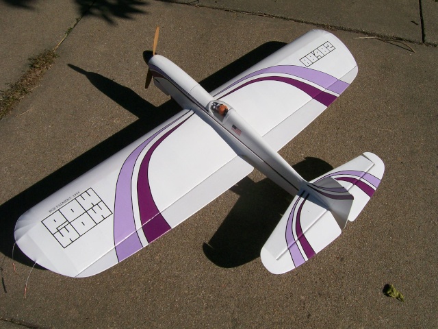 Purple Plane Factory 100_1311