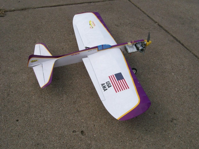 This Week's Purple Plane... 100_1517