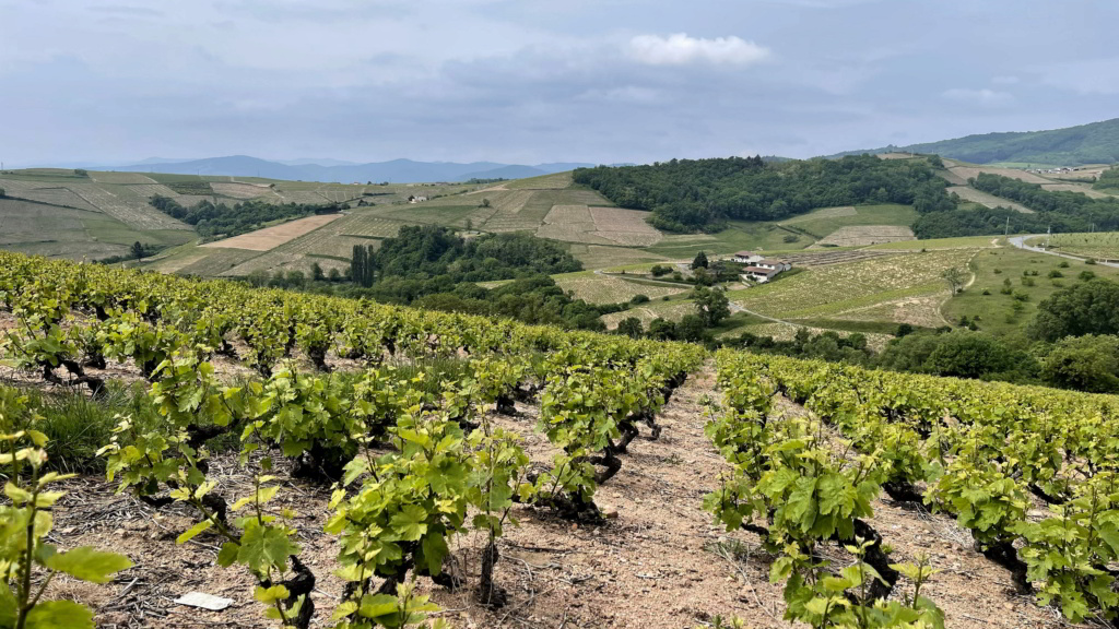 [Autres voyages/France] Par monts et par Vaux B_612