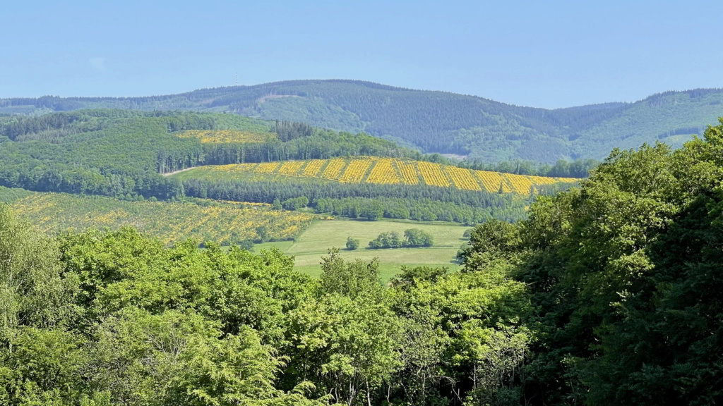 [Autres voyages/France] Par monts et par Vaux C_111