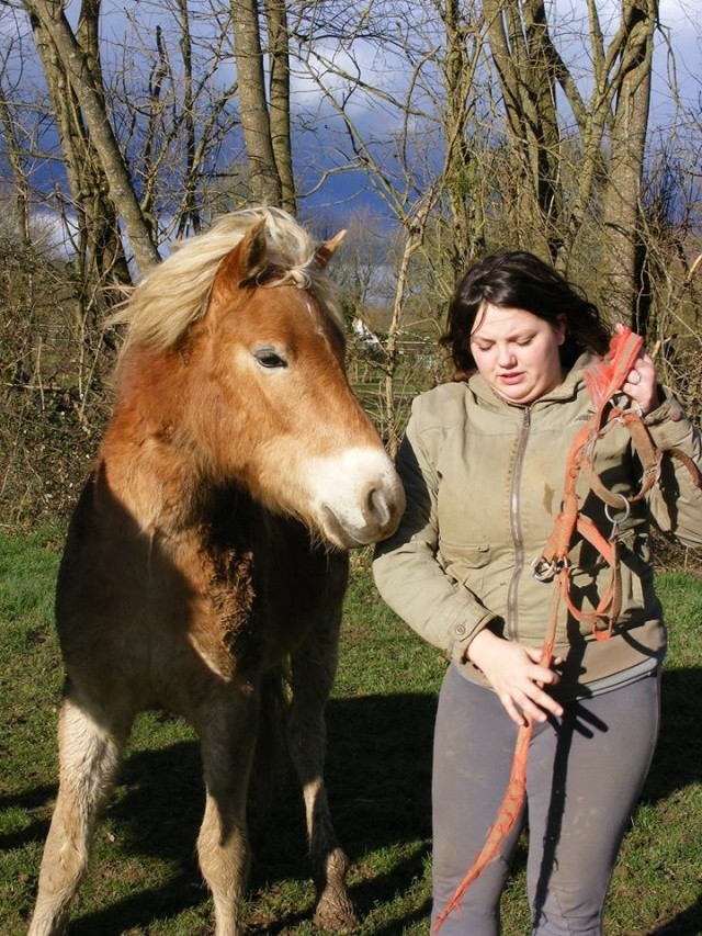 (dept 71) CARNAC, haflinger OC, Sauvée par bertille G. (Janvier 2014) - Page 7 13_fav10