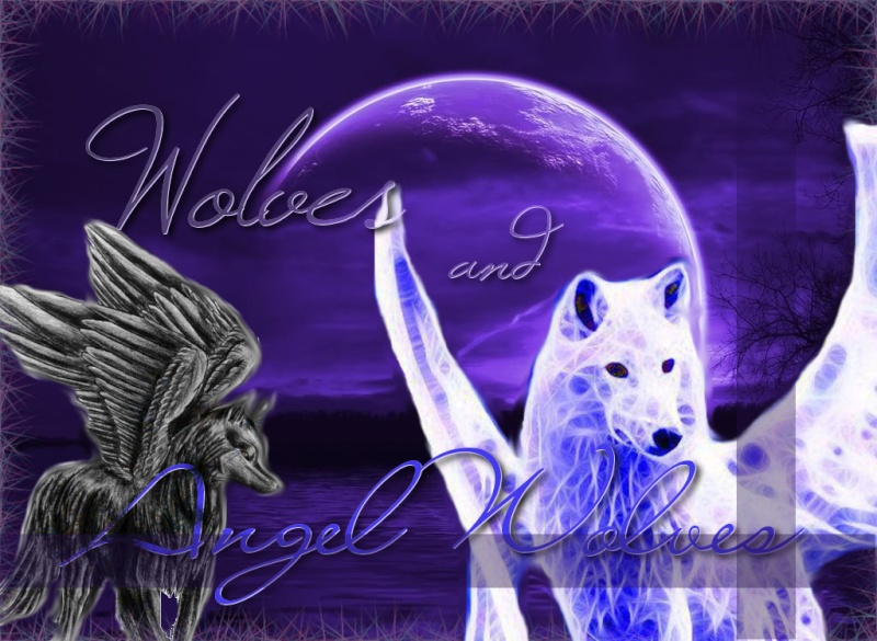 Wolves and Angelwolves