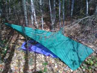 Poncho-tarp en abri pour une personne 1arbre10