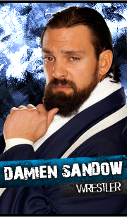 Roster Officiel de la FWE [Friday Night Anarchy] Damien10