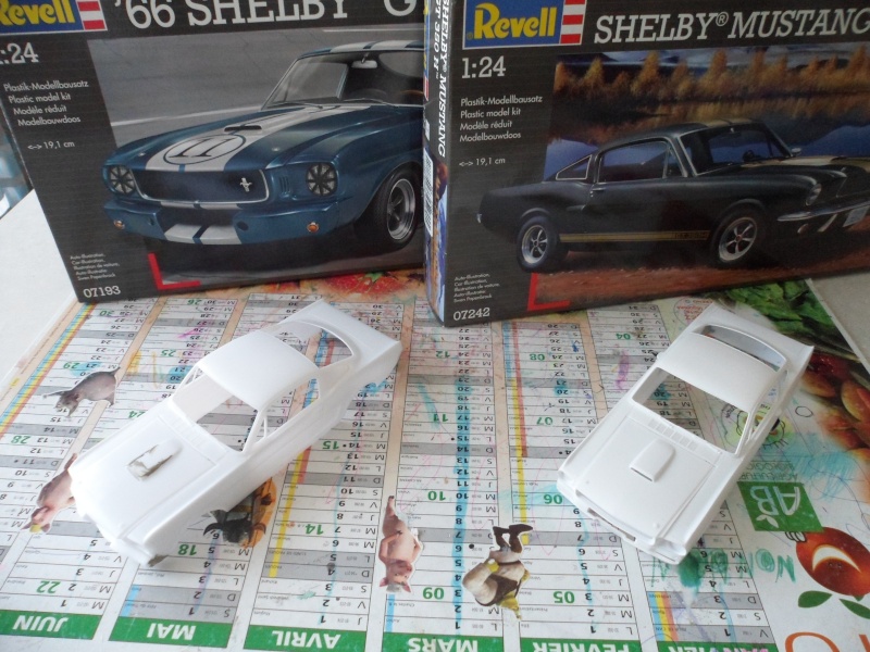 Shelby  gt 66 350 H et R le doublé Sam_0014