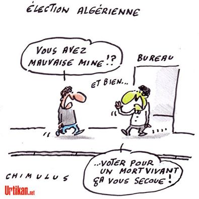 ELECTIONS EN ALGERIE Cid_1511
