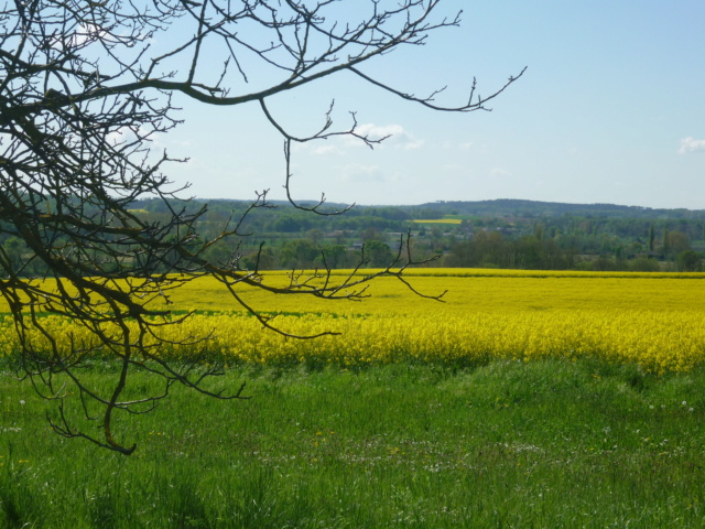 C.R Aubeterre sur Dronne en Charente Aubete10