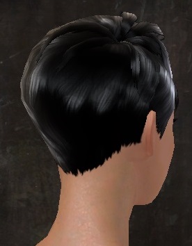 Nouvelles coiffures féminines ! Gw10210