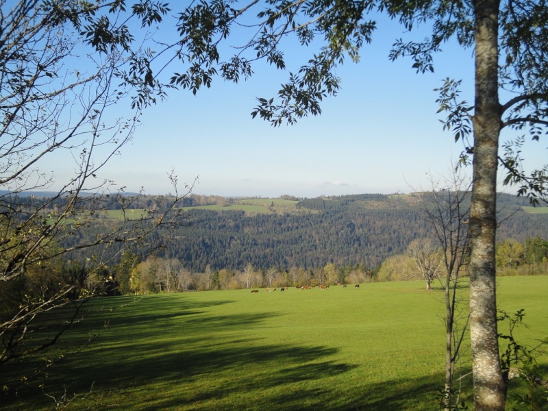 Du Haut Doubs au Jura Suisse pour Halloween Dsc02925