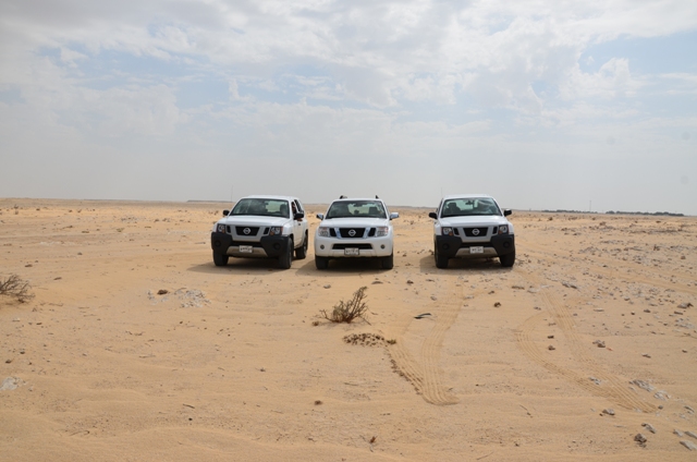 Sortie dans le desert Qataris en 2012 Dsc_2711