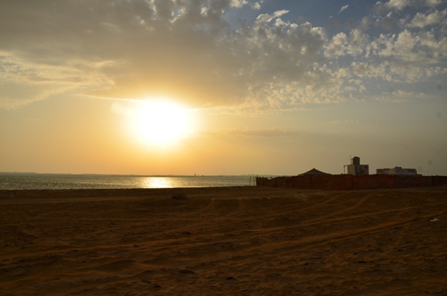 Sortie dans le desert Qataris en 2012 Dsc_2915