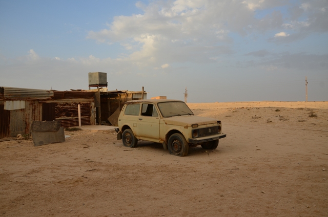 Sortie dans le desert Qataris en 2012 Dsc_2916