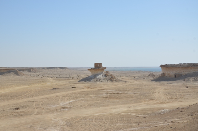 Sortie dans le desert Qataris en 2012 Dsc_3014
